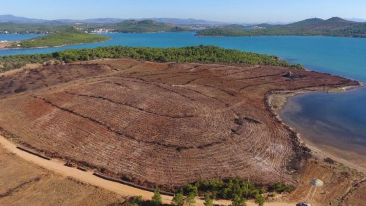 Eroğlu'nun sözlerini yazdığı şarkıyı Haluk Levent seslendirecek