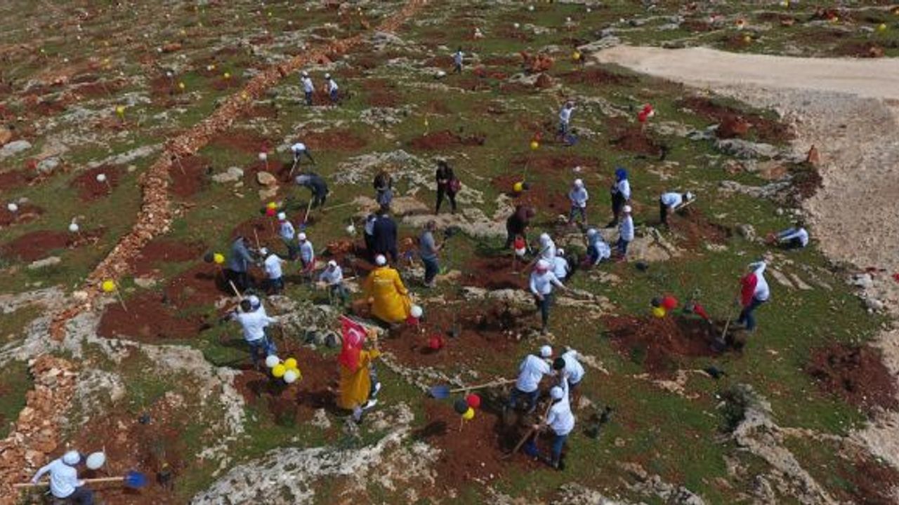 3 Milyon Suriyeli-3 Milyon Fidan Projesi