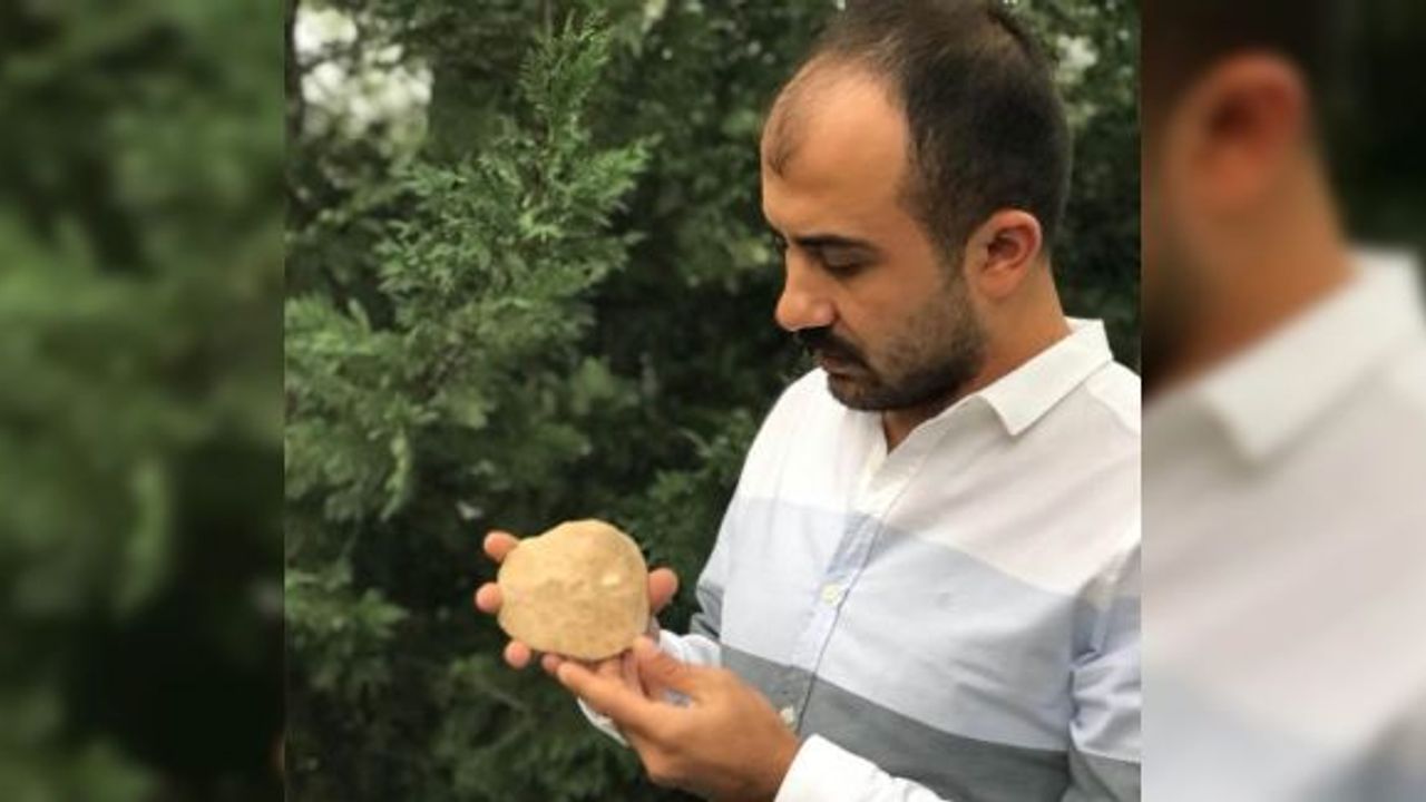 Diyarbakır’da 47 milyon yıllık deniz canlısı fosili bulundu