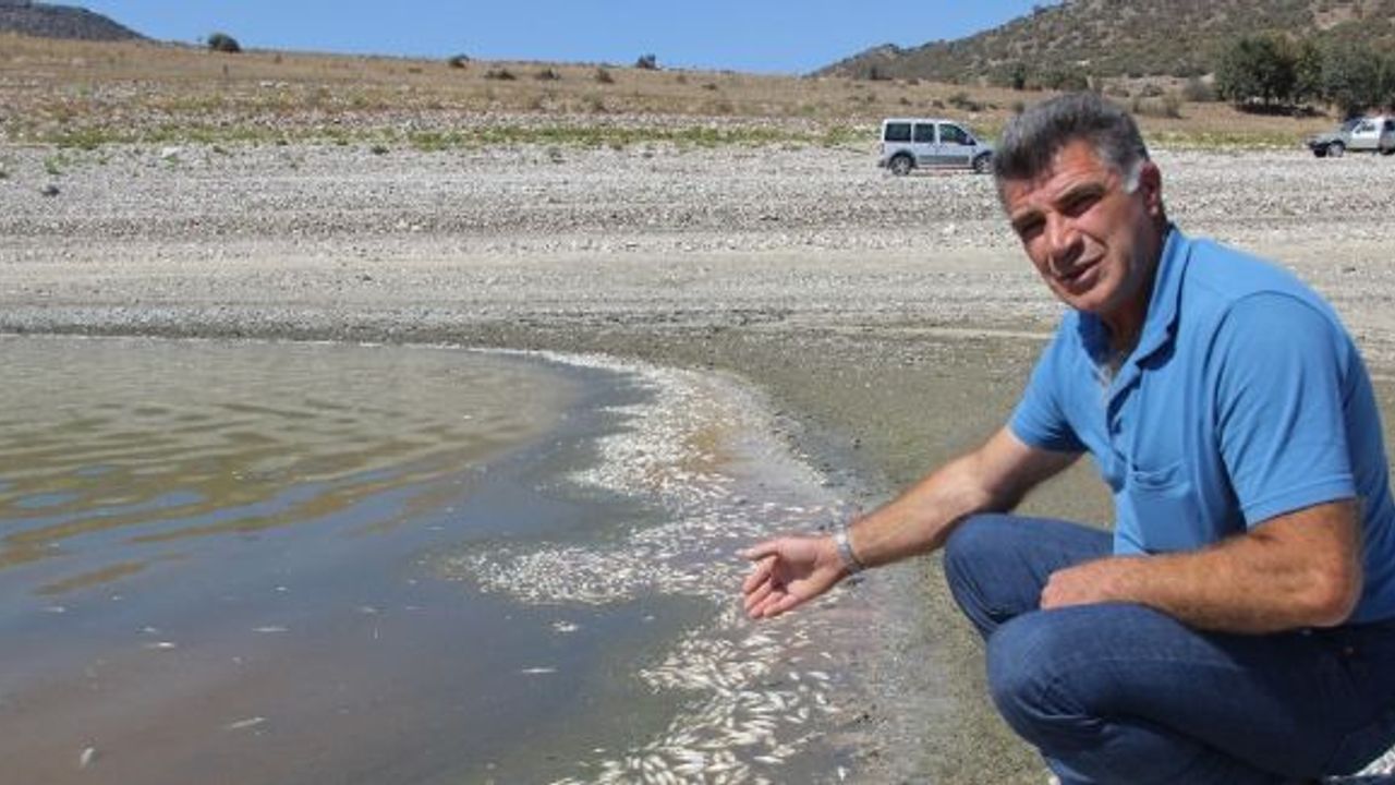 Porsuk Barajı’nda esrarengiz balık ve kerevit ölümleri