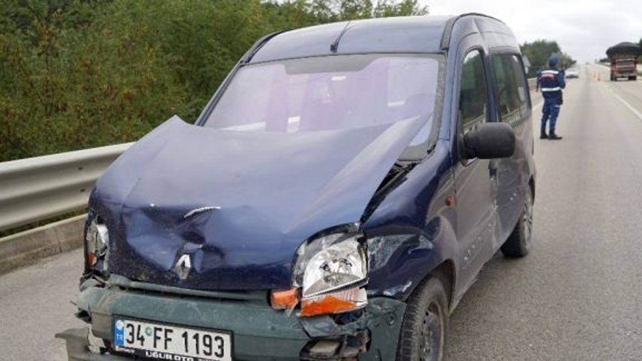 Yola çıkan bozayıya kamyonet çarptı, ayı telef oldu