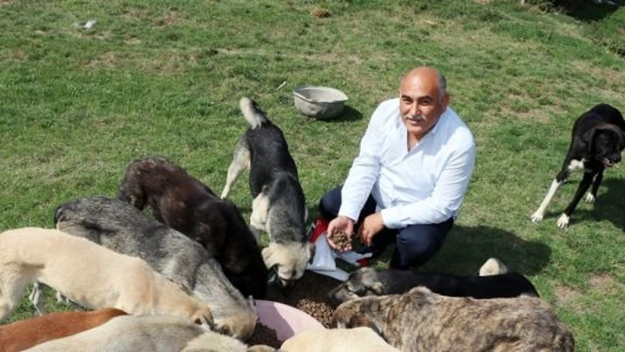 Zonguldaklı iki aile 120 sokak köpeğine yuva oldu