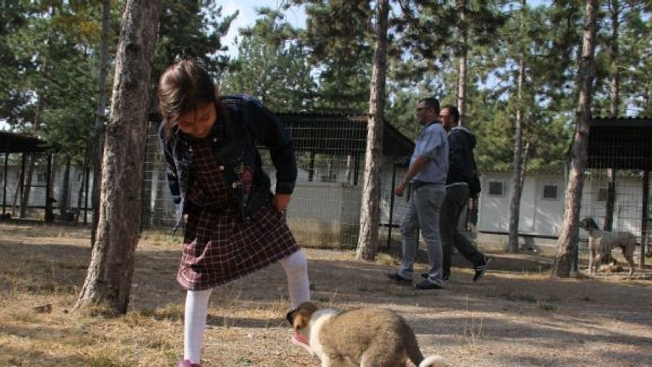 Çorum’da Dünya Hayvanları Koruma Günü etkinlikleri