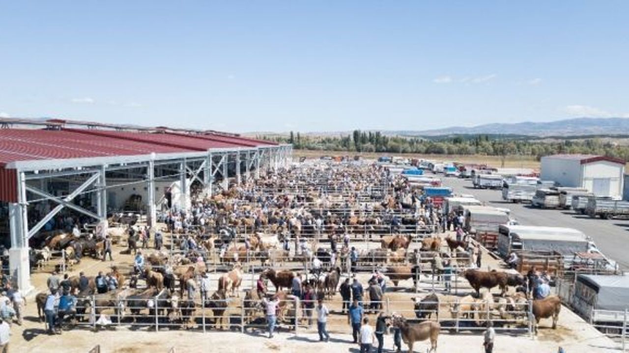Çorum’da hayvan pazarı 8 Ekim’de açılacak