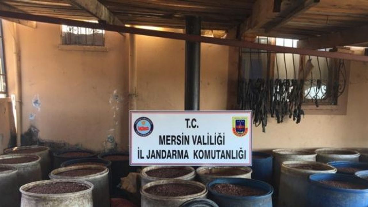 Mersin’de 18 bin litre boğma rakı ele geçirildi