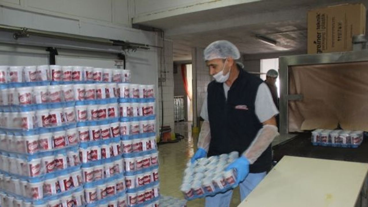 TMSF şirketi Vahdet Süt, ihracat atağı başlattı