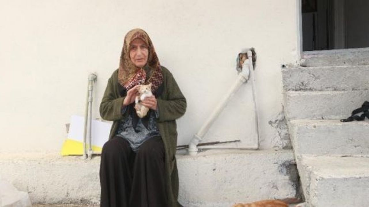 Yaşamını 30 kedi ile sürdüren yaşlı kadın yardım bekliyor