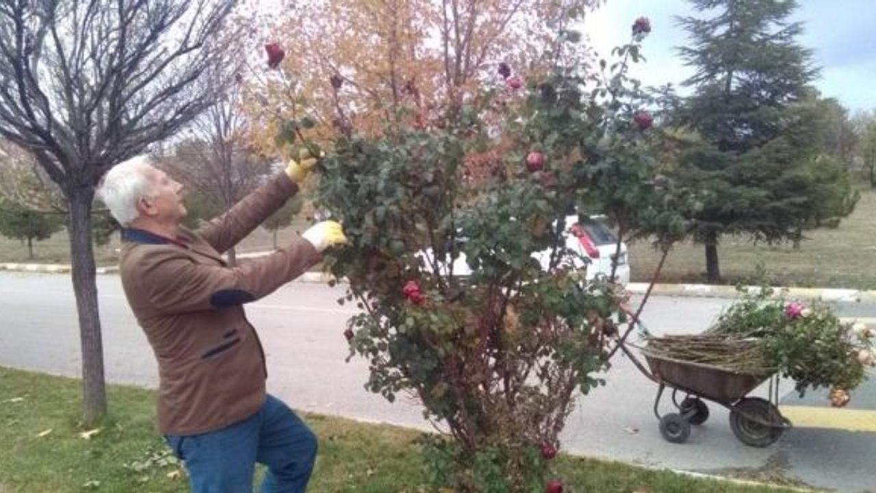 Emekli öğretmen İsmet Postal “Örnek Öğretmen” ilan edildi