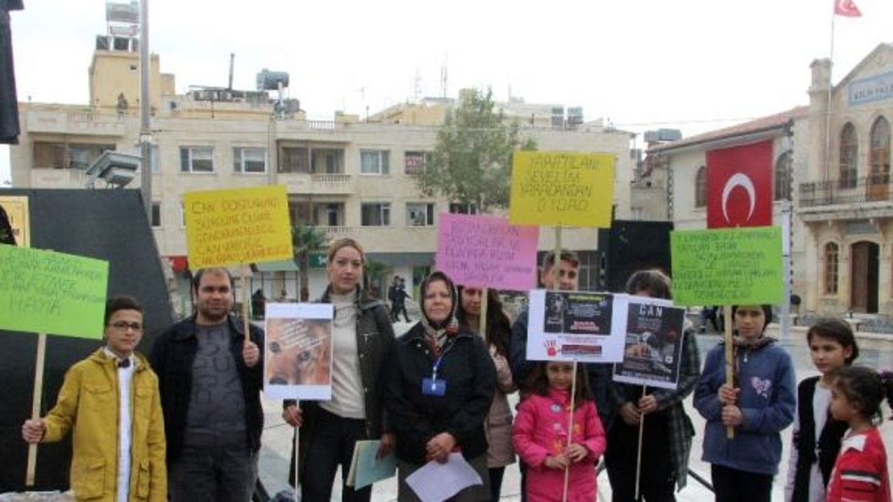 Kilis’te 9 kişilik gruptan hayvanlara işkence protestosu