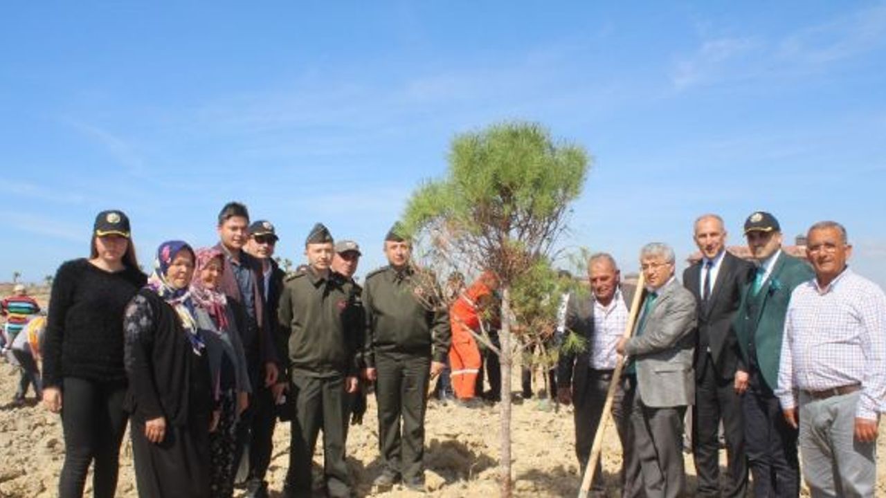 Manavgat’ta Şehit Cumali Gür Hatıra Ormanı oluşturuldu
