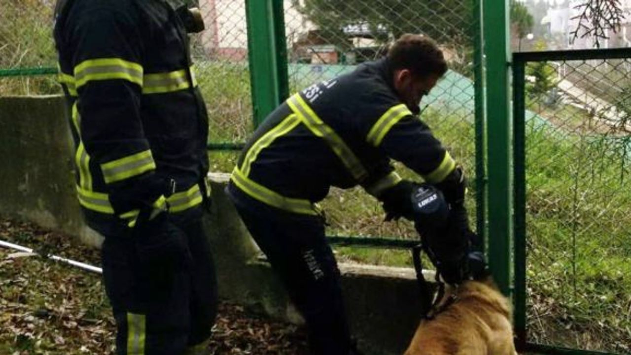 Mahsur kalan kedi ve köpeğin imdadına itfaiye ekipleri yetişti