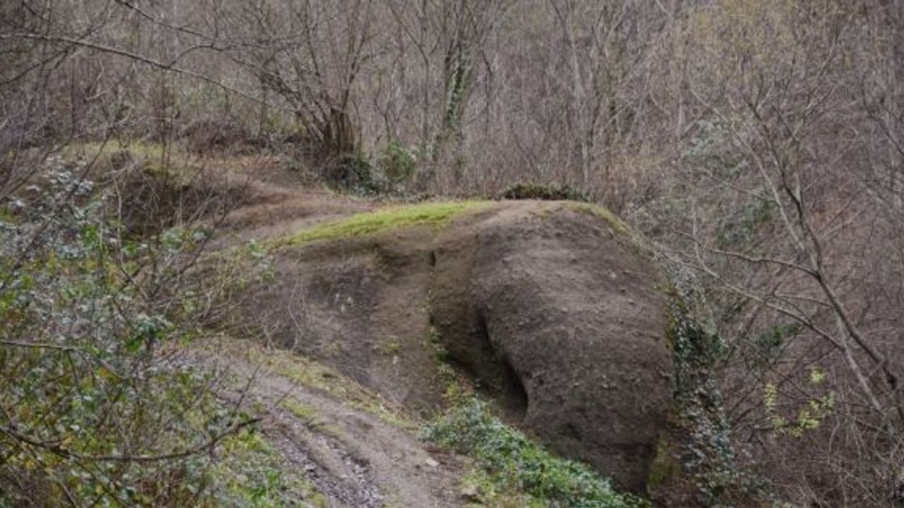 Ordu’daki ‘Fil Kayası’ görenleri şaşırtıyor