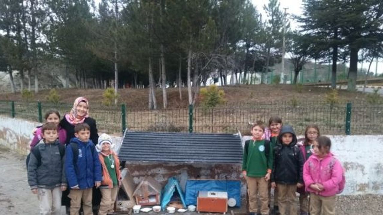 Pazarlar’da ’Her okulun bir evcil hayvanı olsun’ projesi