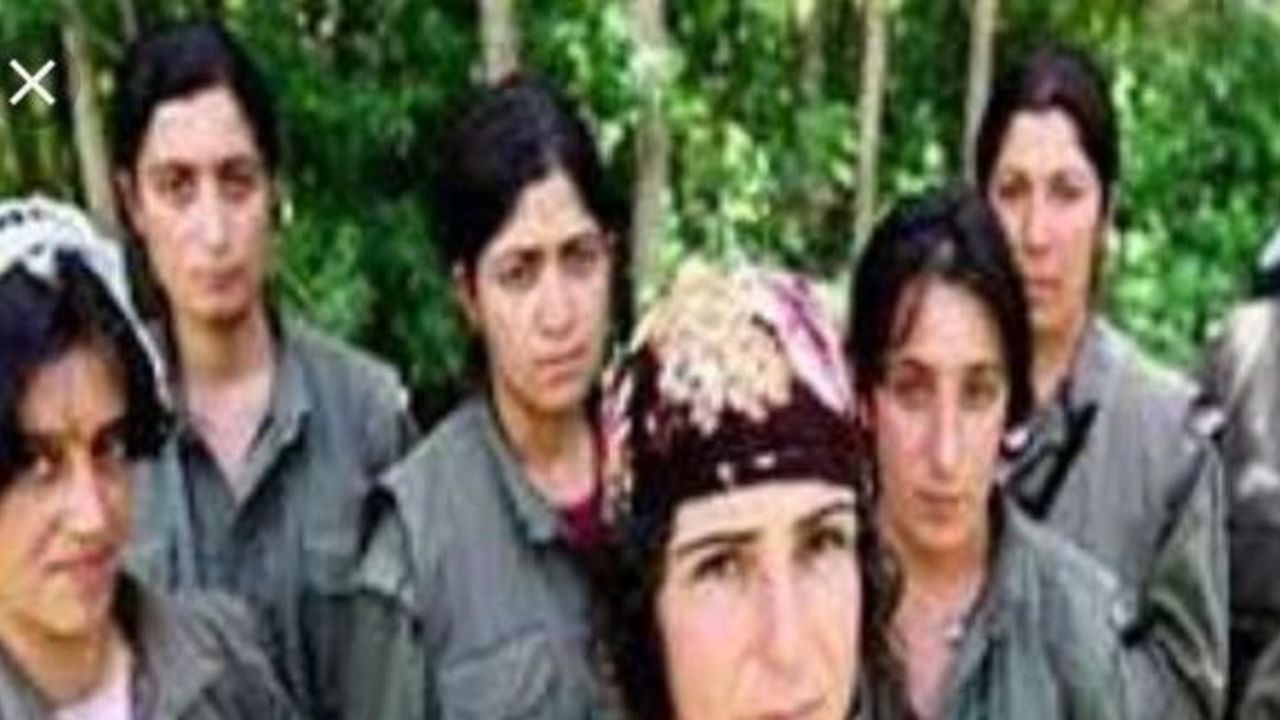 Terör örgütü PKK, hamile kalan teröristi infaz etti