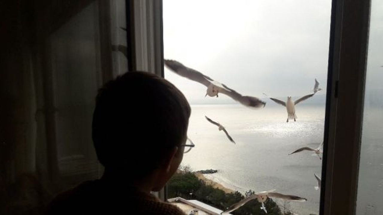 4 yaşındaki çocuk pencereden martıları eliyle besliyor