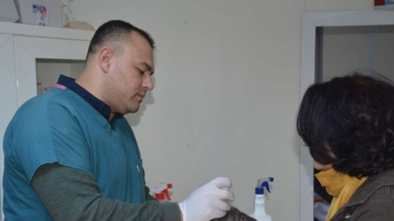 Aliağa’da bir yılda 2 bin 120 sokak hayvanı tedavi edildi