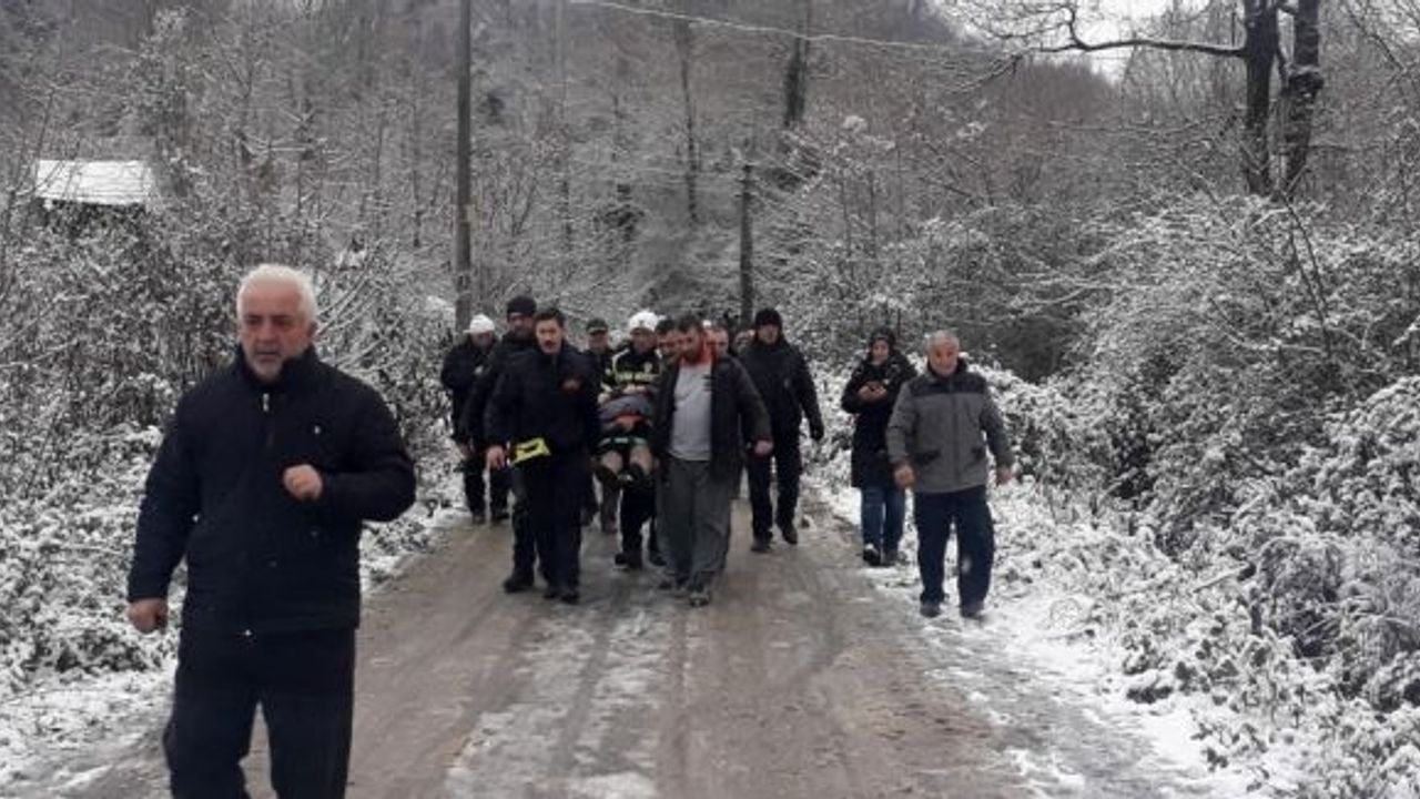 Buzda kayan otomobil ağaçlık alana devrildi: 3 yaralı