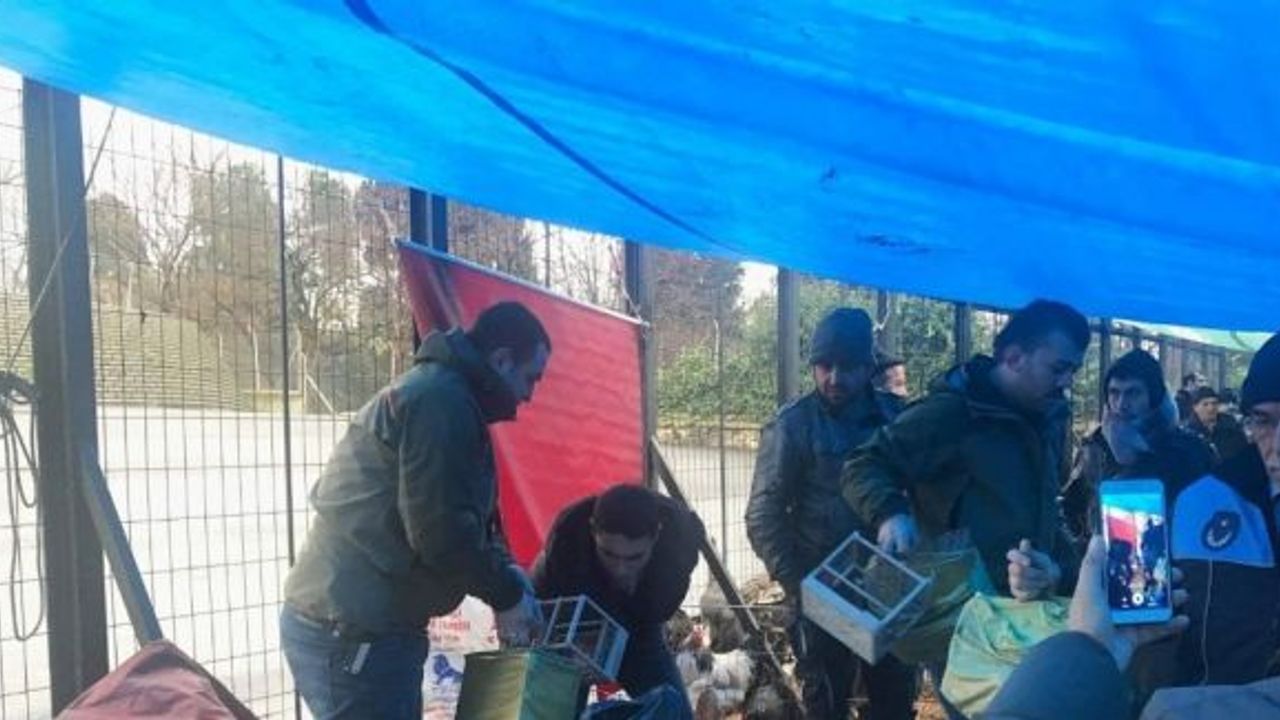 Edirnekapı’da düzenlenen operasyonda ele geçirilen yabani kuşlar doğaya salındı