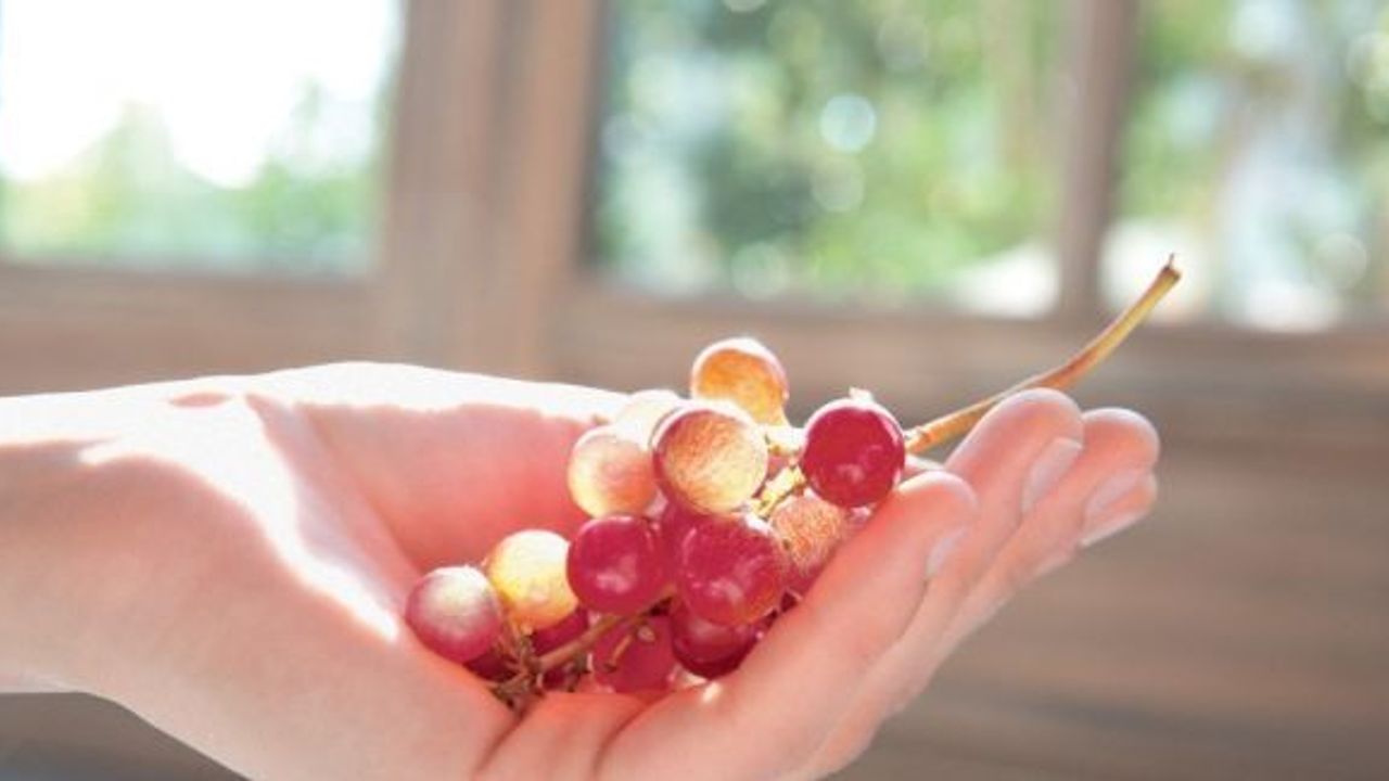 Esmer şeker ve doğal yağlar ile daha kusursuz bir cilt