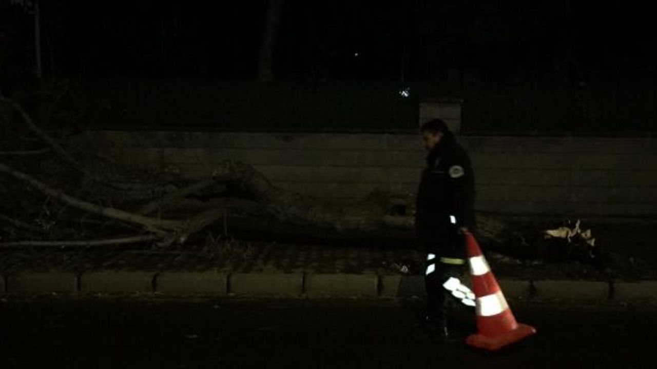 Kayseri’de minare yıkan rüzgarın saatteki hızı 119 kilometre olarak ölçüldü