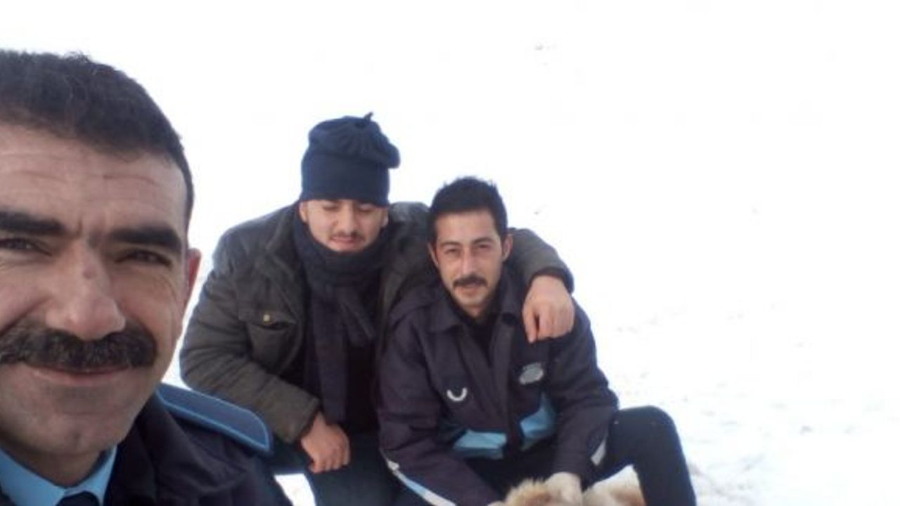 Köylülerin yakaladığı kurt, kaymakamın girişimleriyle doğaya bırakıldı