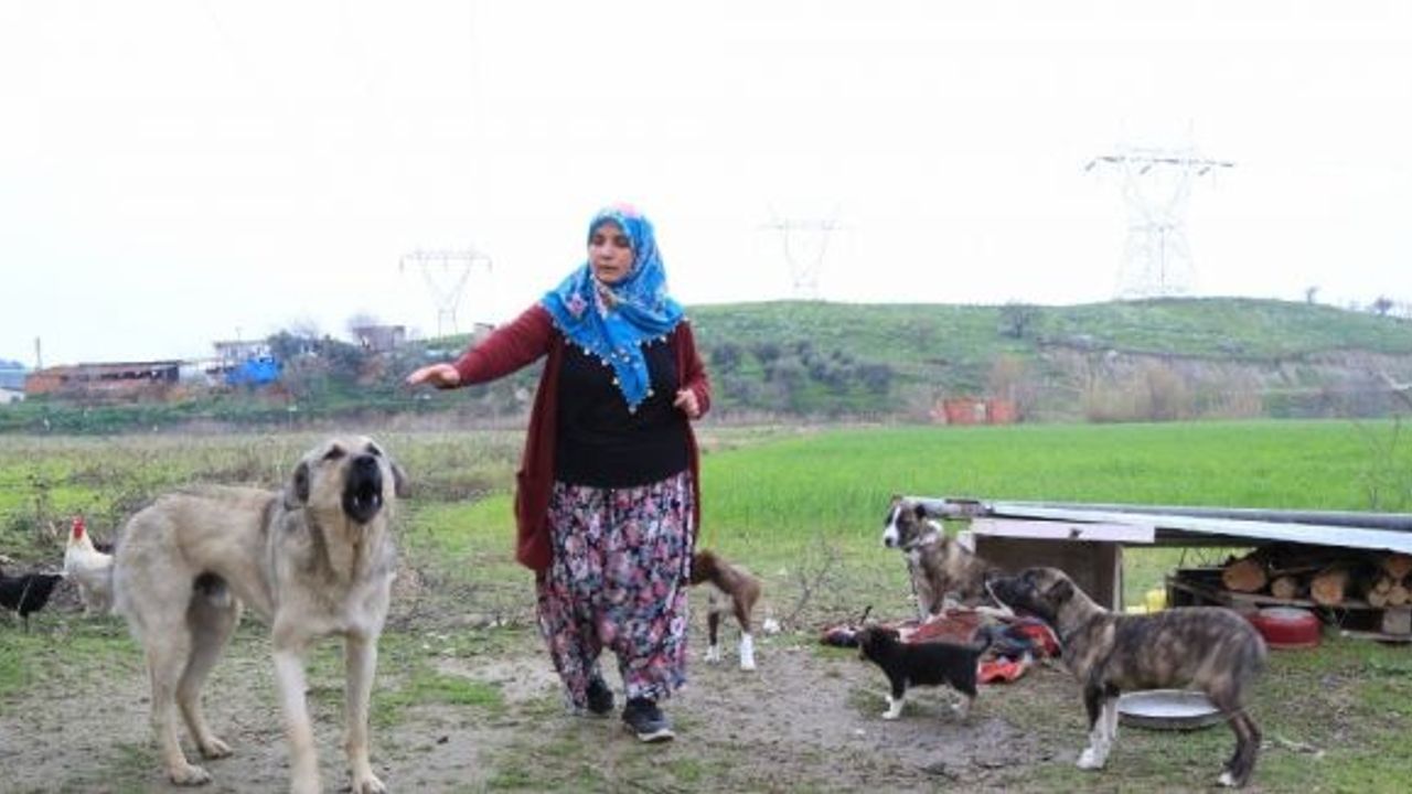 Kadın üretici, Çakırbeyli Köy Pazarı’nda kazandığı parayla evini yaptı