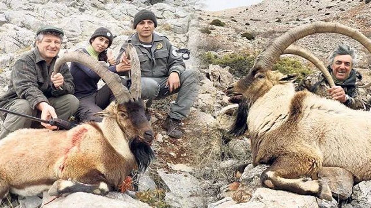 Bas parayı vur keçiyi! İspanya'dan gelen 12 avcı Tunceli'de huzuru kaçırdı