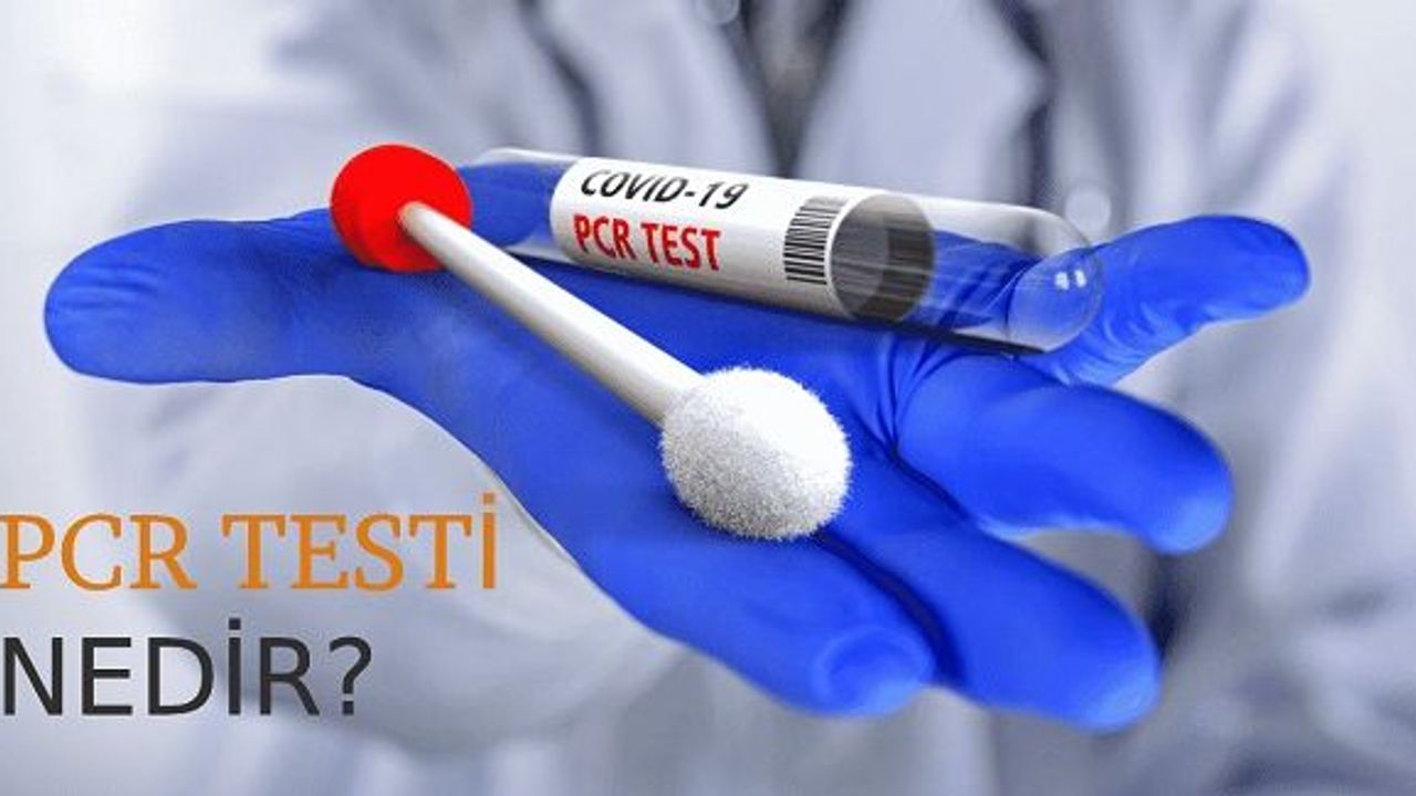 PCR Testi Nasıl Yapılır?