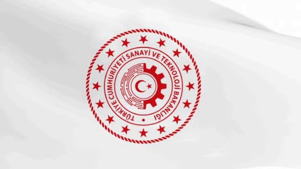 Kamu Bilişim Hizmet Alımı Kapsamında Katılımcıların Yetkilendirilmesi Hakkında Yönetmelik