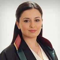 Arb. Av. Ayşegül YETKİN BOYBAY