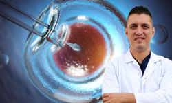 Tüp Bebek Doktorları