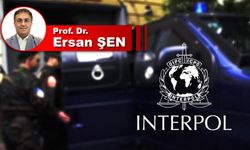 INTERPOL Gümüş Bülten/Difüzyonu