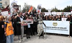 TBB Hayvan Hakları Komisyonu: “Yerinde Yaşat” İlkesi; Bilimsel, İnsani ve Hukuki Açıdan En Makul ve Sürdürülebilir Yöntemdir