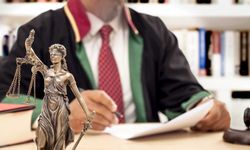 MESLEKTAŞLARI HAKKINDA KÜÇÜK DÜŞÜRÜCÜ İFADELERDE BULUNMAK AVUKATIN DİSİPLİN SORUMLULUĞUNU GEREKTİRİR