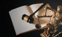 ZİHİNSEL ENGELLİ ÇOCUKLARIN HUKUKİ GELECEĞİ: VELAYETTEN VESAYETE GEÇİŞİN ÖNEMİ