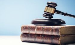 GENEL ANLAMDA KAMULAŞTIRMASIZ ELATMADAN KAYNAKLANAN TAZMİNAT DAVALARI