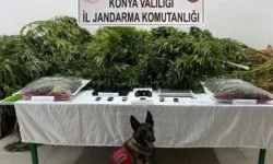 Çiftliğinde uyuşturucu ele geçirilen avukat beraat etti