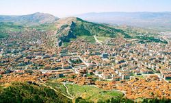 Anadolu'nun Saklı Bahçesinde Hasat Zamanı Yaklaşıyor