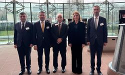 AYM Başkan Kadir Özkaya, Avrupa İnsan Hakları Mahkemesi adli yıl açılış programına katıldı