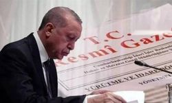 17 ile vali yardımcısı, 135 ilçeye kaymakam atandı