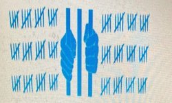 Türk Cezaevlerine Özgü İlkeler Demeti (A Set of Principles Specific to Turkish Prisons)