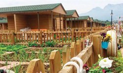 HOBİ BAHÇELERİNİN AFFI - 5 ÇÖZÜM ÖNERİSİ