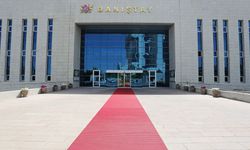 Danıştay 8. Daire'nin 2017/5702 E., 2020/5787 K. sayılı kararı