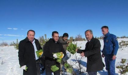 Boğazlıyan’da yaban hayvanları için doğaya yem bırakıldı