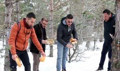 Soğuk kış günlerinde yaban hayvanlarını unutmadılar