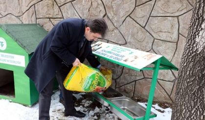 Yozgat Belediyesi’nden sokak hayvanlarına şefkat eli