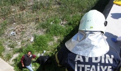 Amacı sadece dere kenarında gezmekti