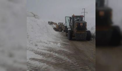 Erciş’te tipi ve heyelan