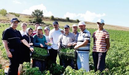 Sanayi bölgesinin ham madde ihtiyacı yerel tohumlar ile karşılanacak