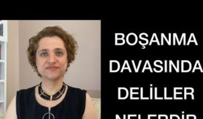 BOŞANMA DAVASINDA DELİLLER NELERDİR, Tanık, Bilirkişi, Sir, Sosyal Medya v.s.